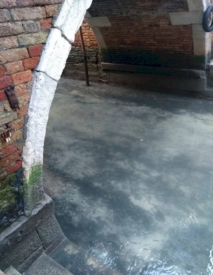 Agua Venecia