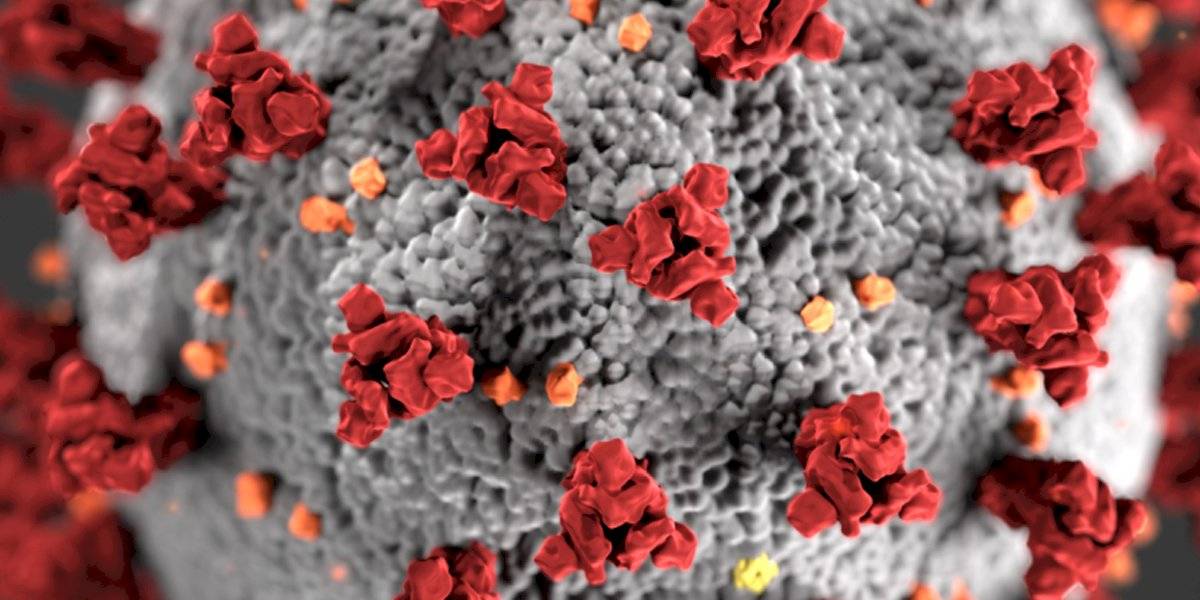 Coronavirus: datos demuestran que jóvenes también pueden tener COVID-19