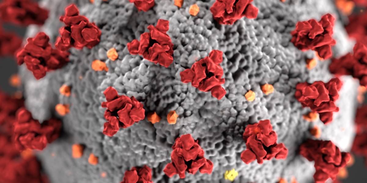  Coronavirus: datos demostrar que jóvenes también pueden tener COVID-19 