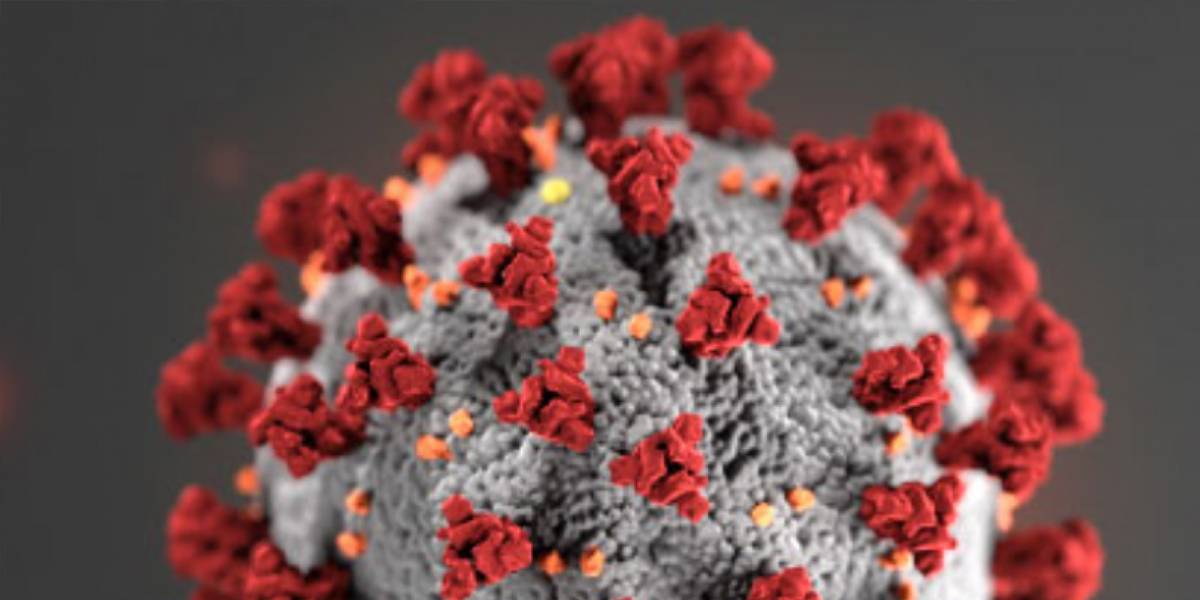Coronavirus: científicos señalan que COVID-19 pueden atacar todo el cuerpo Coronavirus: científicos señalan que COVID-19 pueden atacar todo el cuerpo