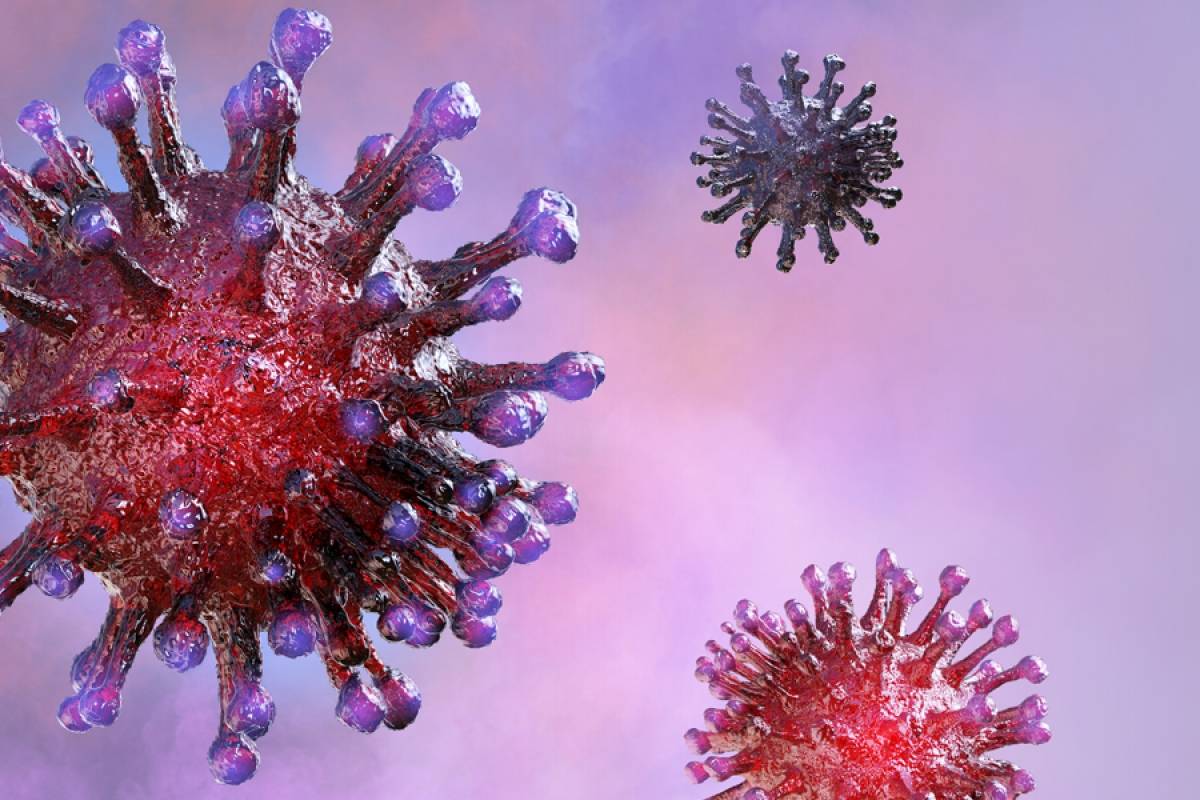 nombres comunes de los virus