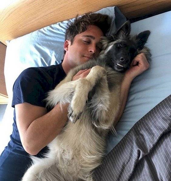Diego Boneta