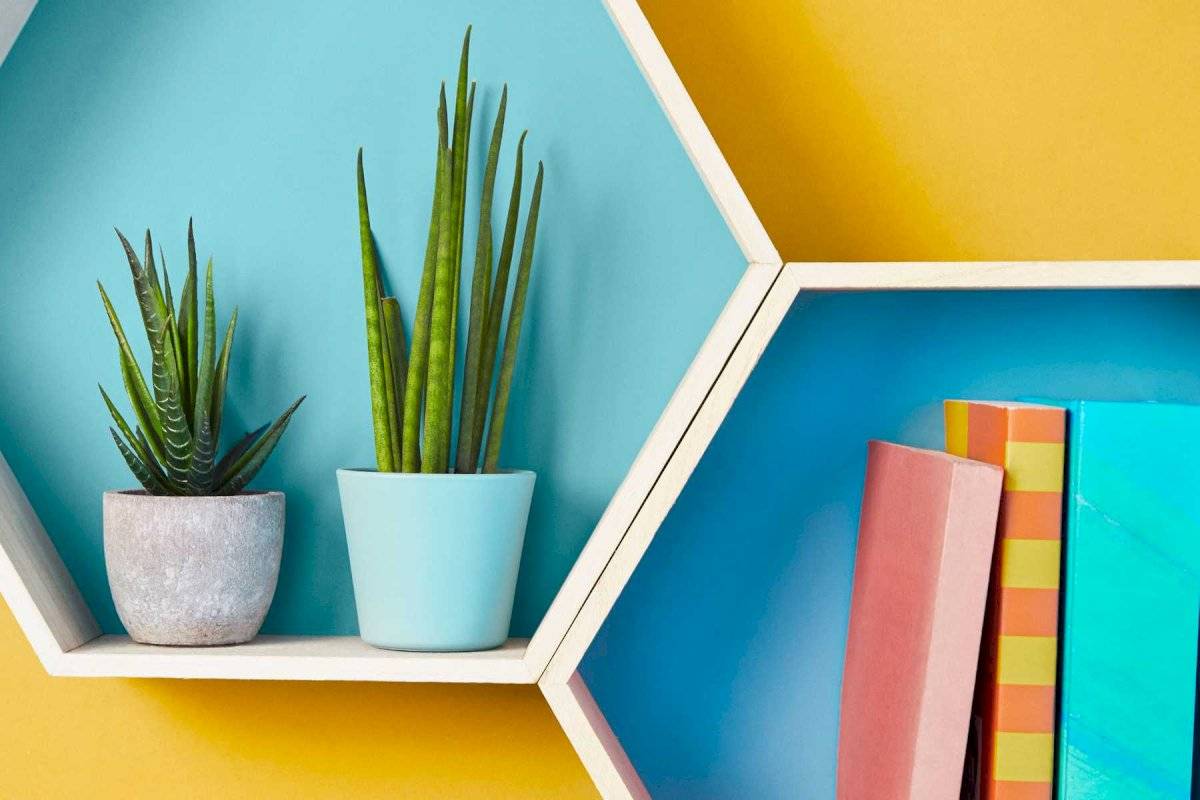 El equilibrio del Feng Shui es una energía positiva