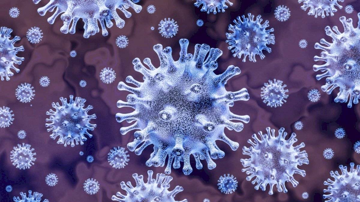 Coronavirus: estos son los avances para la cura parte 4