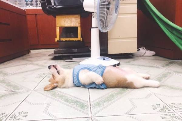 Reprodução/Facebook