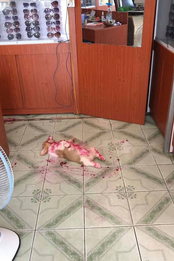 Reprodução/Facebook