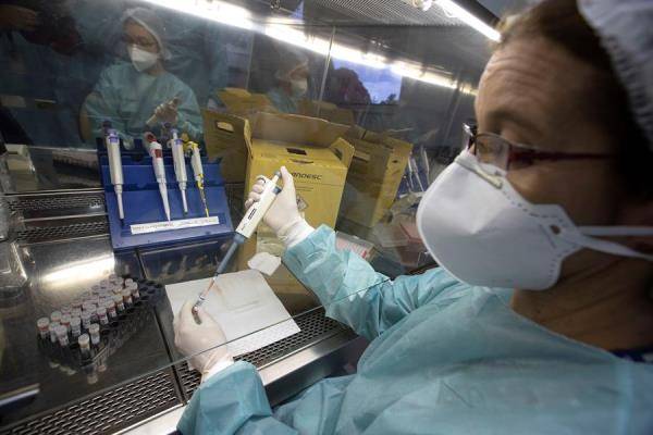 Coronavirus puede ser contagioso en pacientes sin síntomas Coronavirus puede ser contagioso en pacientes sin síntomas