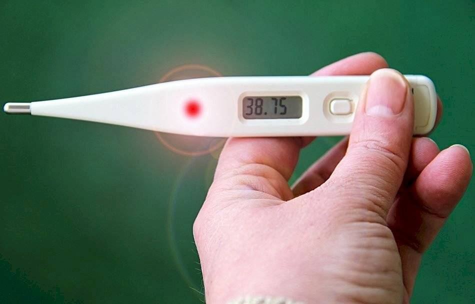 Fiebre