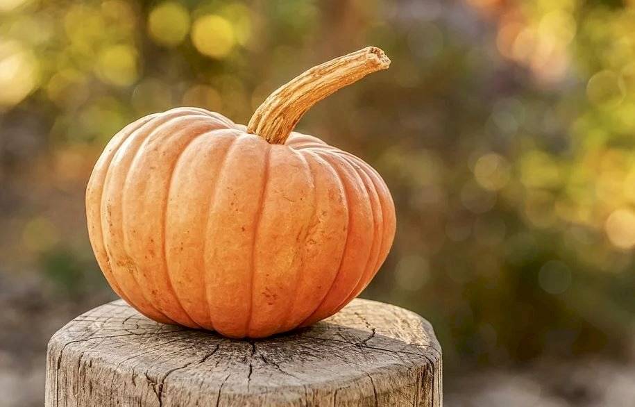 Jugo de zanahoria y calabaza para sistema inmune