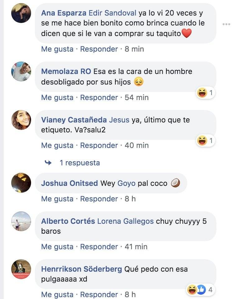 Típico que interrumpes a López Gatell para pedirle un peso”pal taco”
