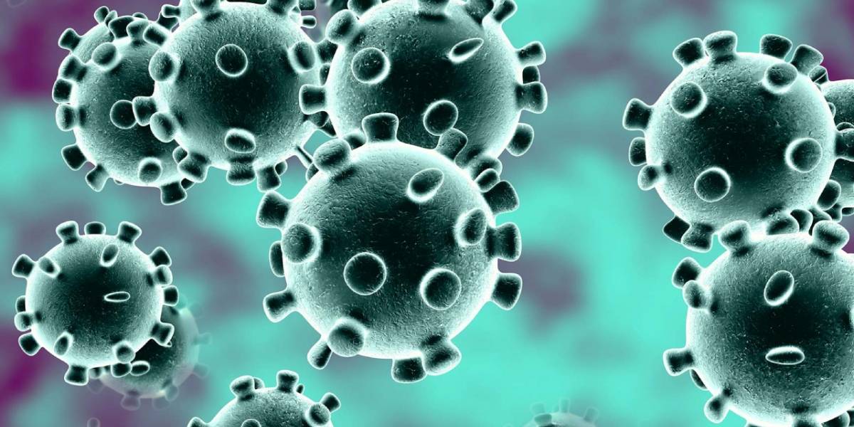 Coronavirus: pacientes que padecen el COVID-19 pueden ser traicionados por su sistema inmune