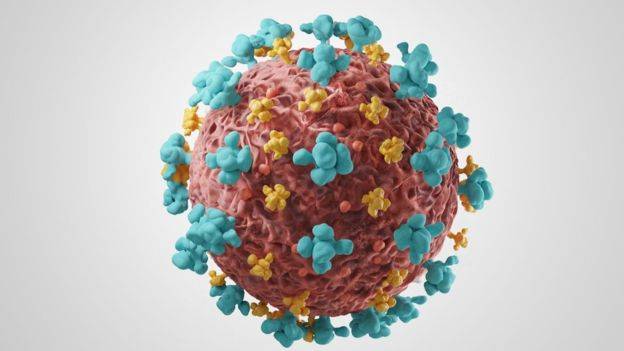 nuevos tipos de coronavirus