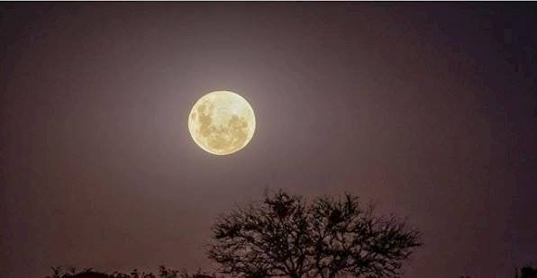 Halloween de este año será más aterrador