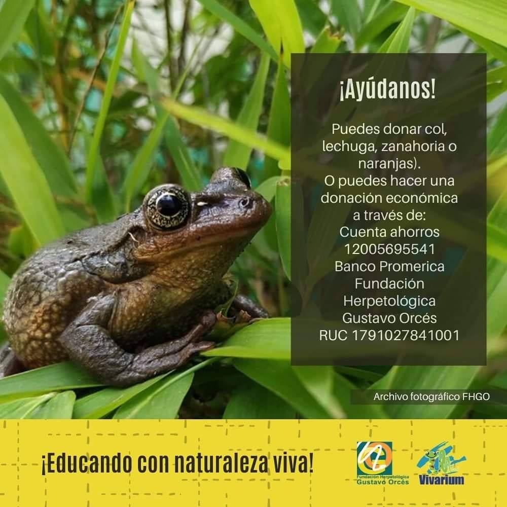 Vivarium de Quito necesita donaciones ¡Así puedes ayudar!