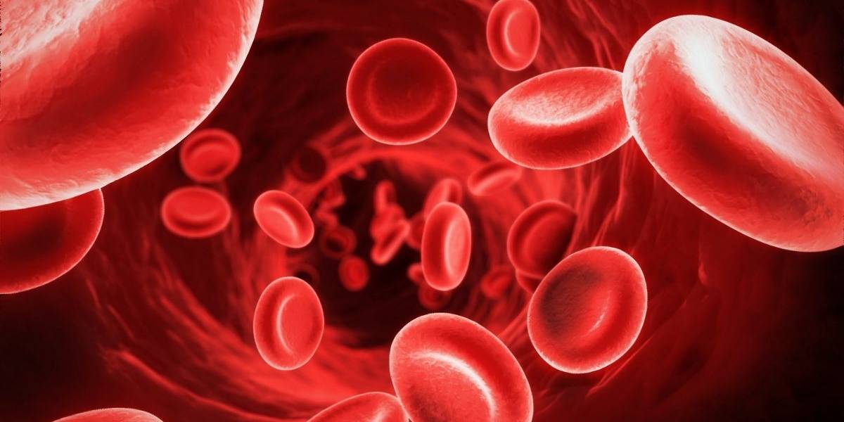 Coronavirus: pacientes con síntomas leves también desarrollan inmunidad, revela estudio