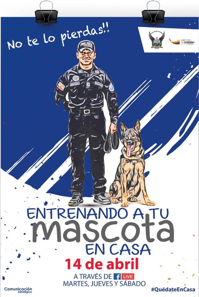 Policía Nacional te enseñará cómo adiestrara a tu mascota en casa