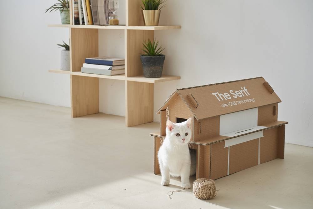 casita gato