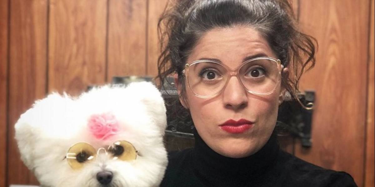 El nuevo servicio de streaming HBO Max anuncia "Hot Dog", un nuevo reality show de peluquería canina