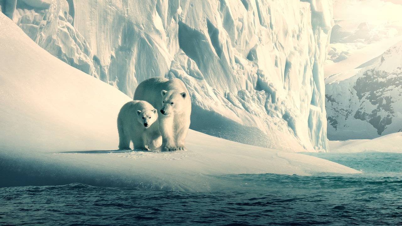 Documental Nuestro Planeta
