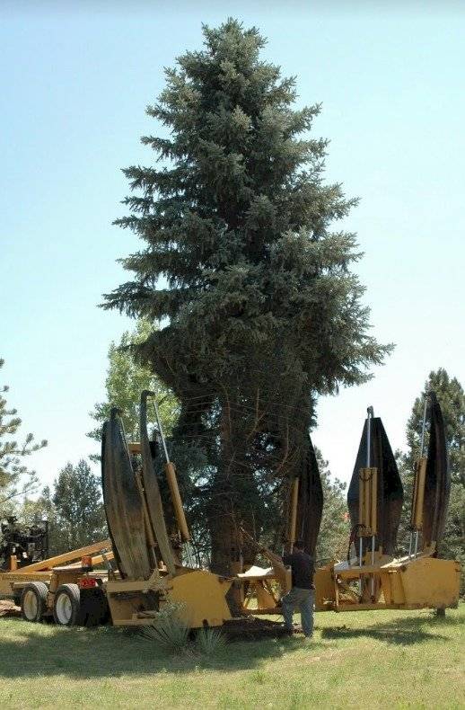 Bigger Digger