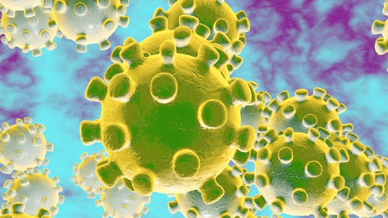 Coronavirus Pandemia Fases Coronavirus Pandemia Fases