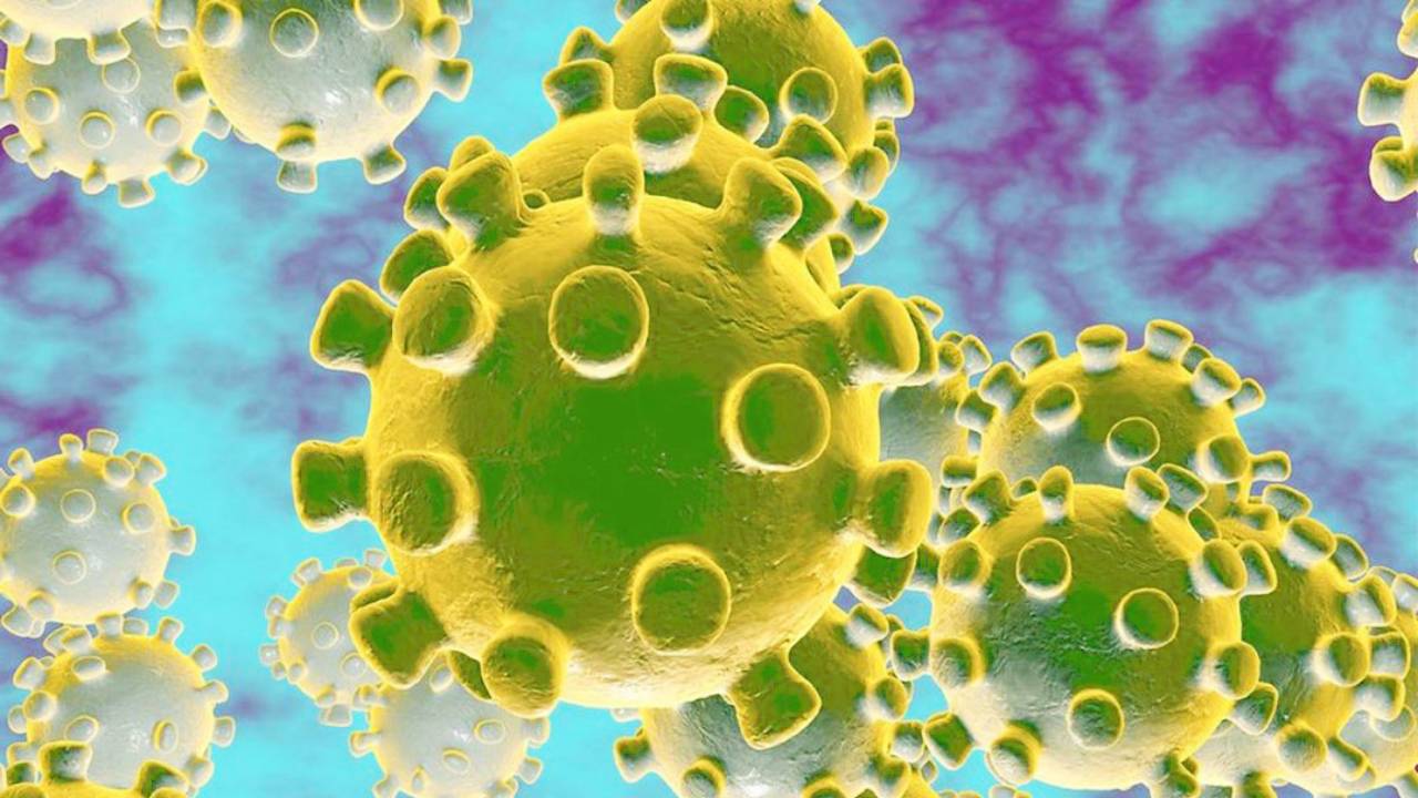 Coronavirus Pandemia Fases