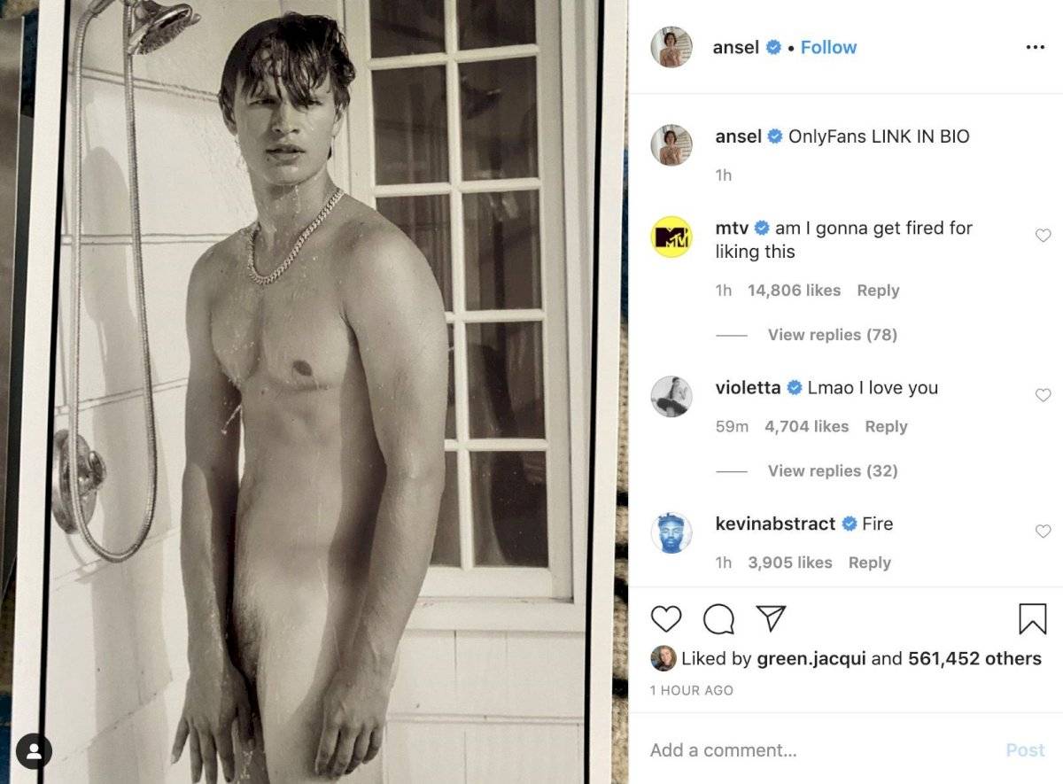 Ansel Elgort