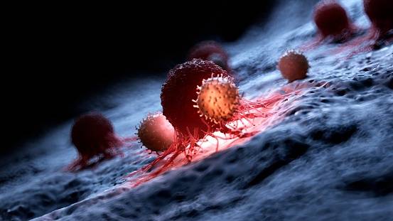 Así se extiende y ataca al cuerpo el coronavirus, Así se extiende y ataca al cuerpo el coronavirus,