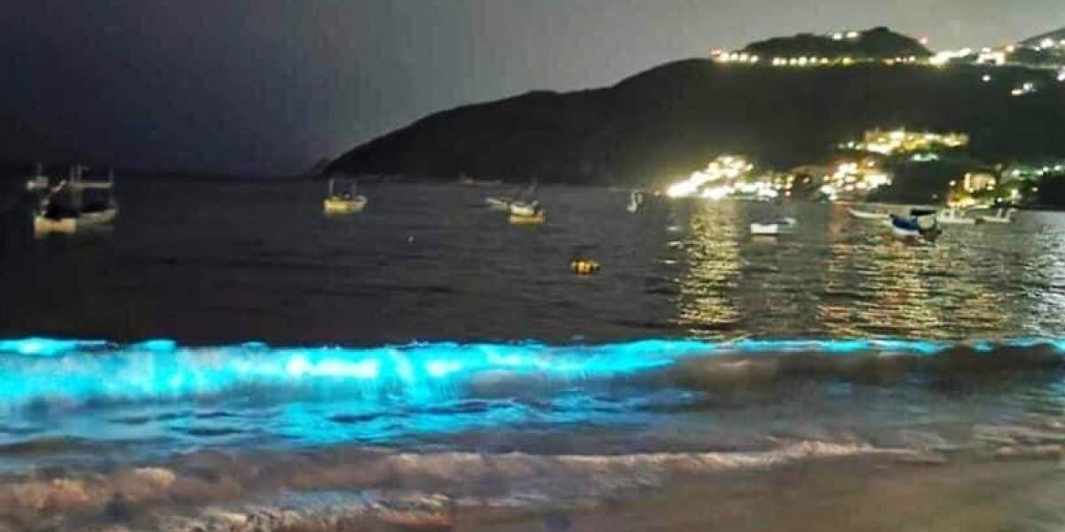 Cuarentena: Una hermosa luz sorprende en las aguas de una playa en Acapulco