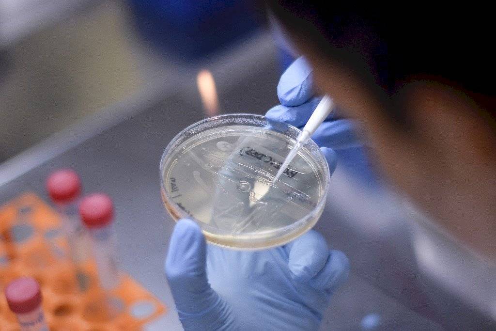 Vacuna contra el coronavirus