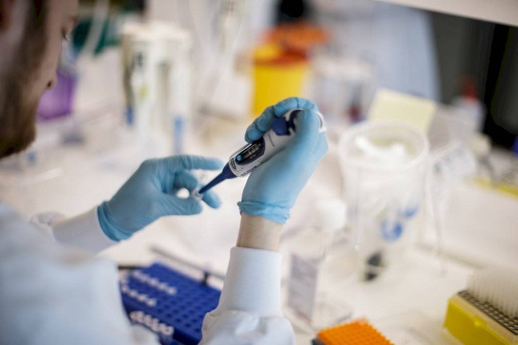 Buscan vacuna contra el coronavirus