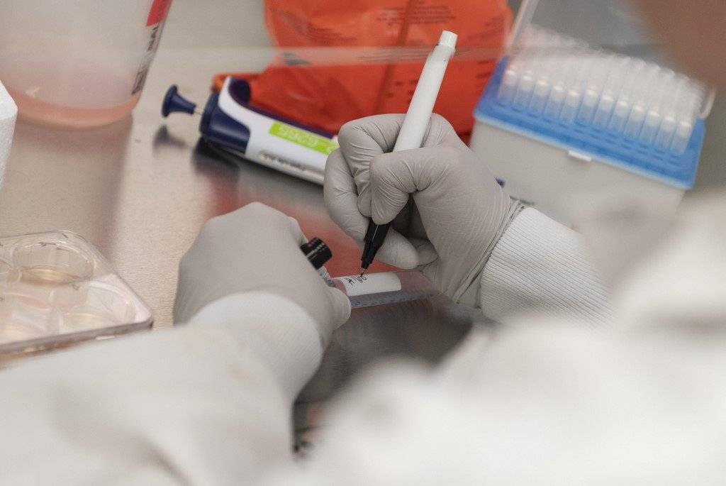 Buscan vacuna contra el coronavirus
