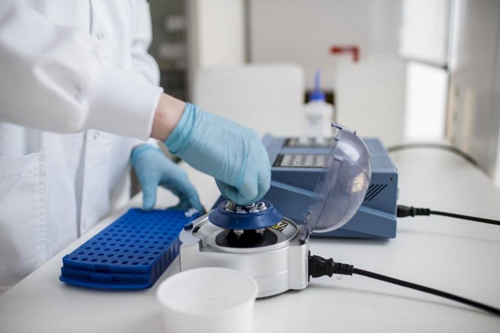 Buscan vacuna contra el coronavirus