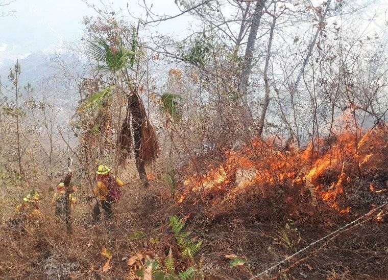 Incendio forestal