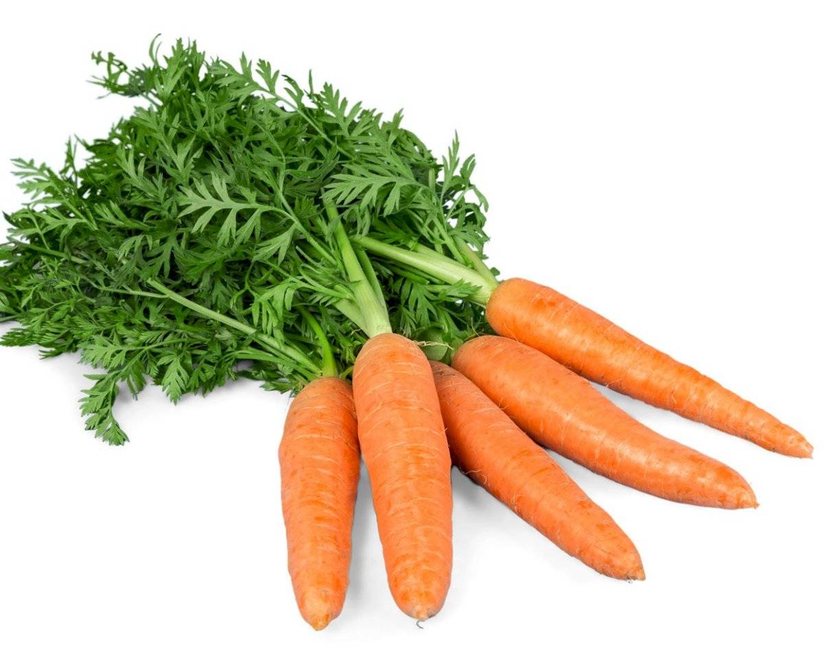 Las zanahorias contienen una serie de sustancias que son beneficiosas para la salud
