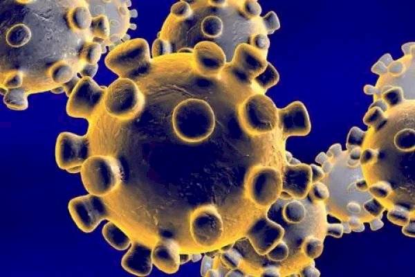 Coronavirus pandemia