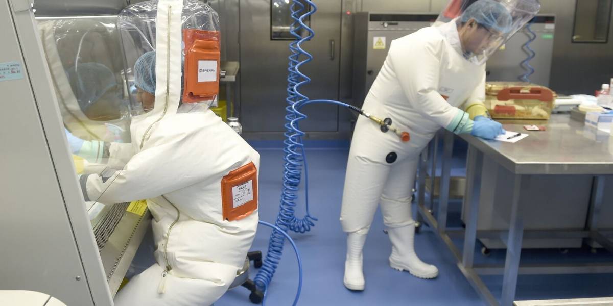 Coronavirus: las pequeñas diferencias que hacen al Covid-19 mil veces más efectivo que sus parientes cercanos