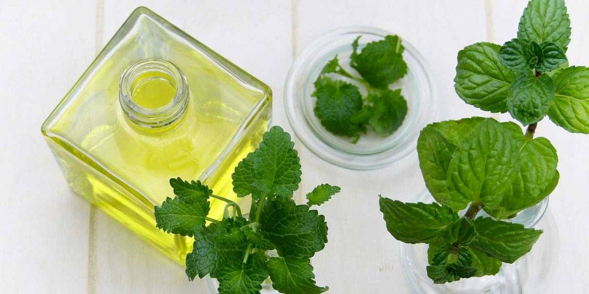 Aceite de hierbabuena