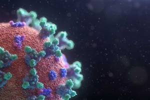 Exdirector de los CDC expone “10 verdades claras” sobre el coronavirus