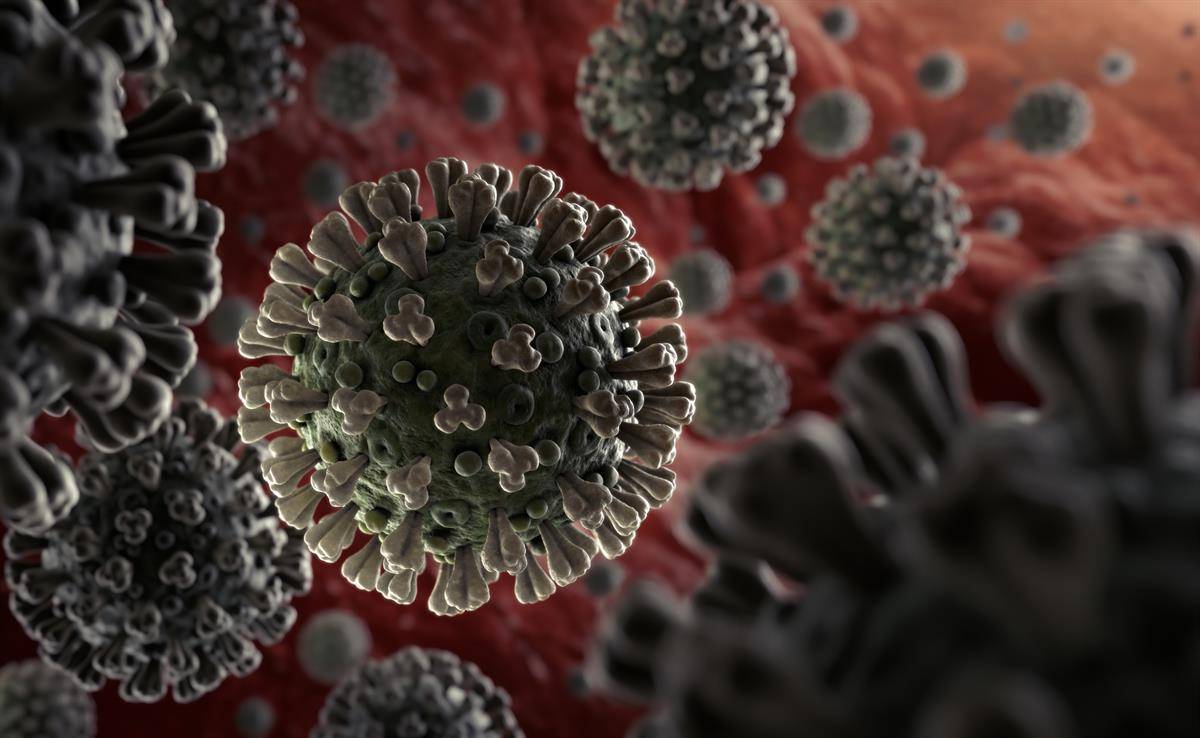  Semen de Coronavirus 