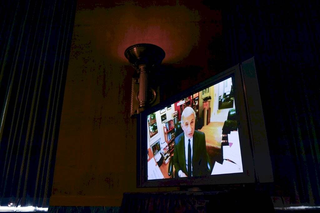 Anthony Fauci en videoconferencia