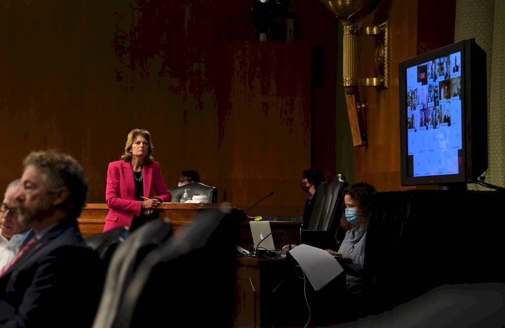 Anthony Fauci en videoconferencia