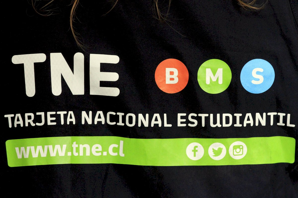 revalidar la TNE