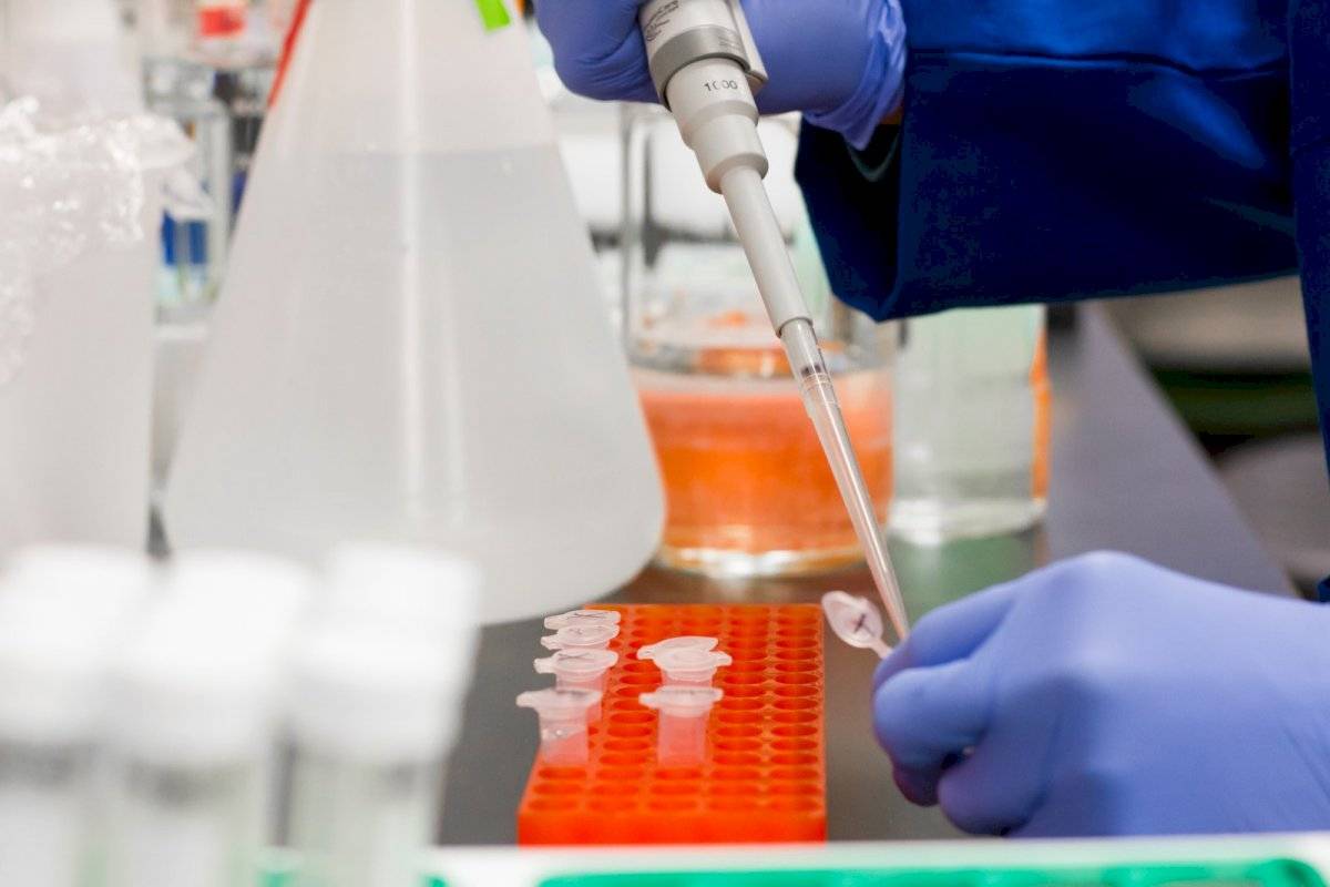 Vacuna para el coronavirus