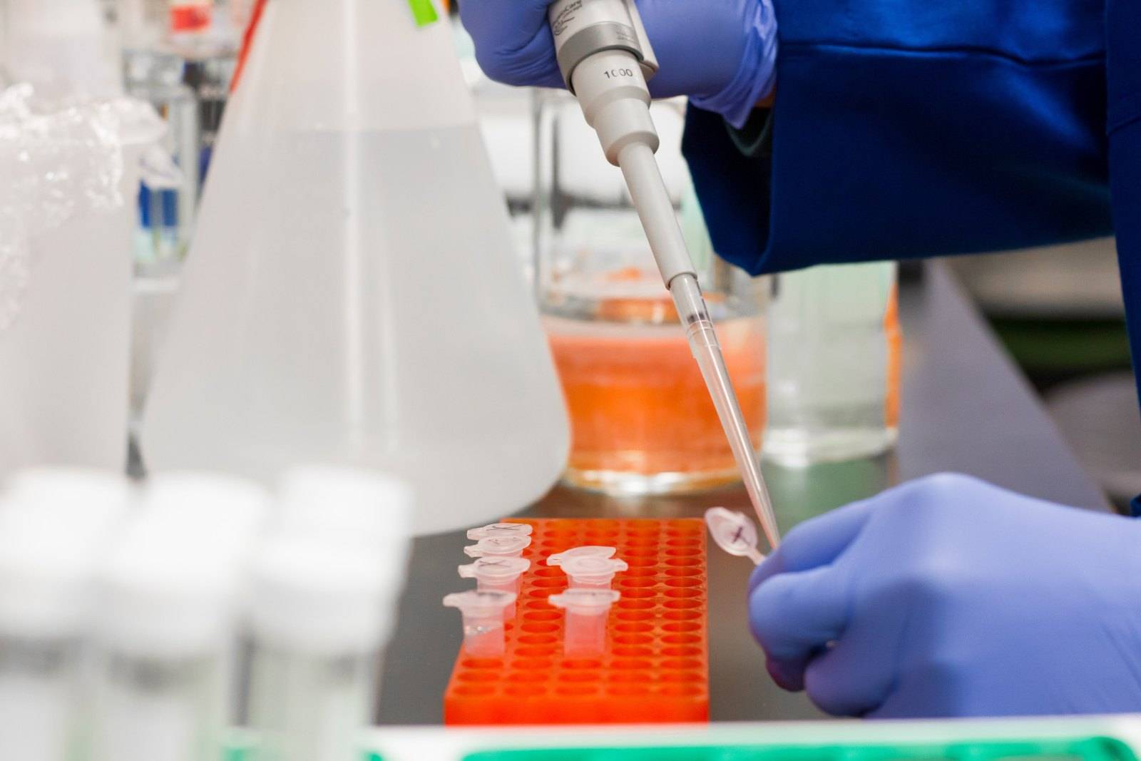 Vacuna para el coronavirus Vacuna para el coronavirus