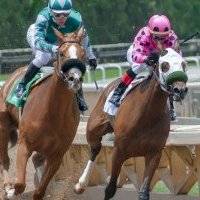 Hipódromo Camarero regalará $25,500 entre las personas que se vacunen contra el COVID-19