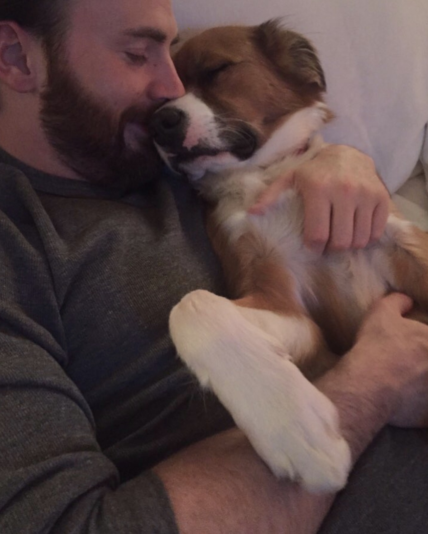 chris evans chris evans