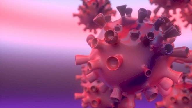 Coronavirus inflamación niños