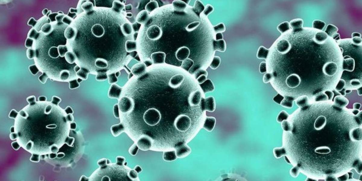 Coronavirus: hombre en Hong Kong sufrió un segundo contagio de covid-19