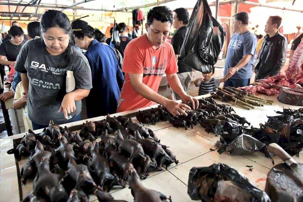 En Indonesia todavía se venden murciélagos desafiando al COVID-19